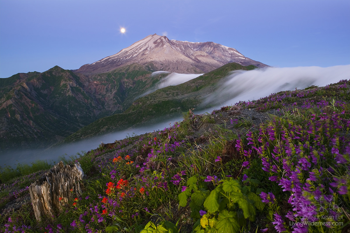 Mount St. Helens, Wildflowers and Fog Falls