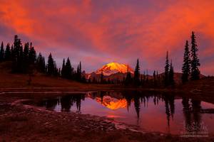 Mount Rainier, Tipsoo Lake, Fiery Sunrise