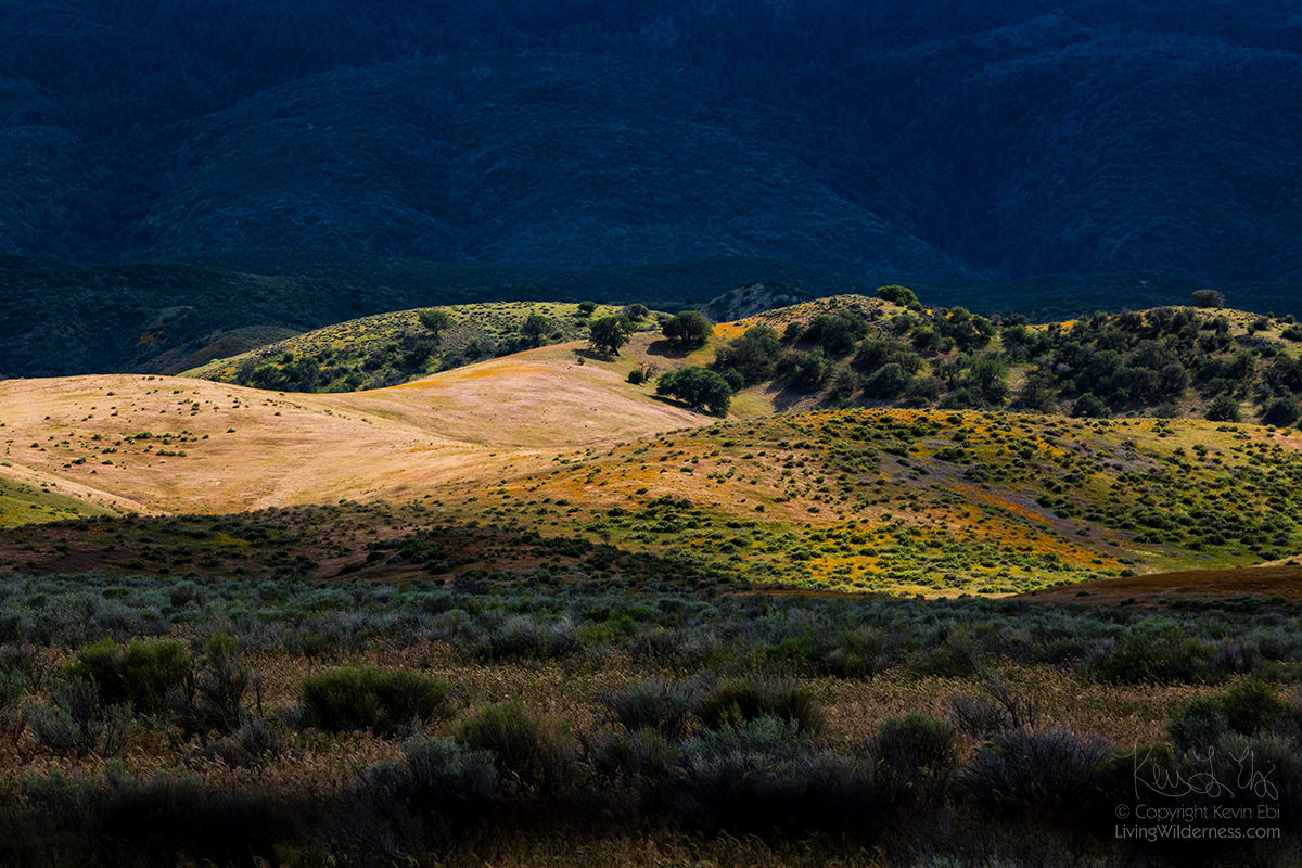 Rolling Hills, Antelope Valley, California