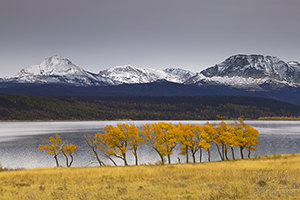 Fall Color and First Snow, St. Mary Lake, Glacier National Park