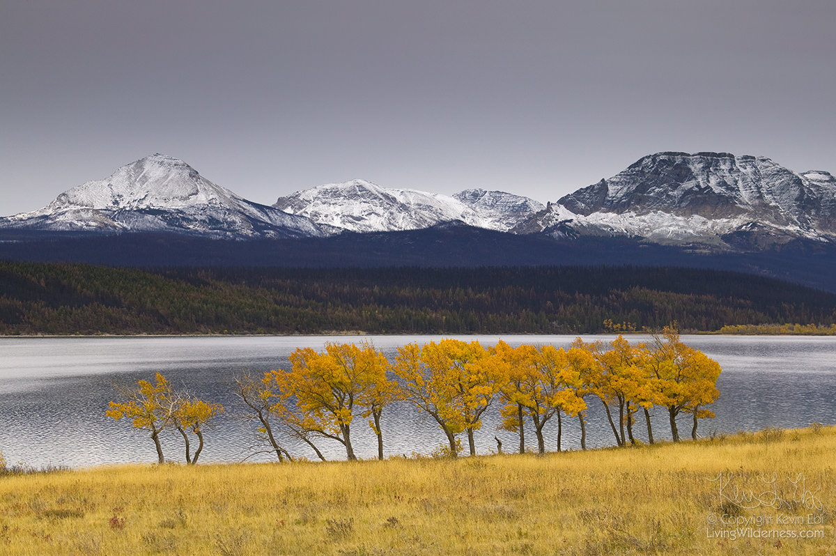 Fall Color and First Snow, St. Mary Lake, Glacier National Park, Montana