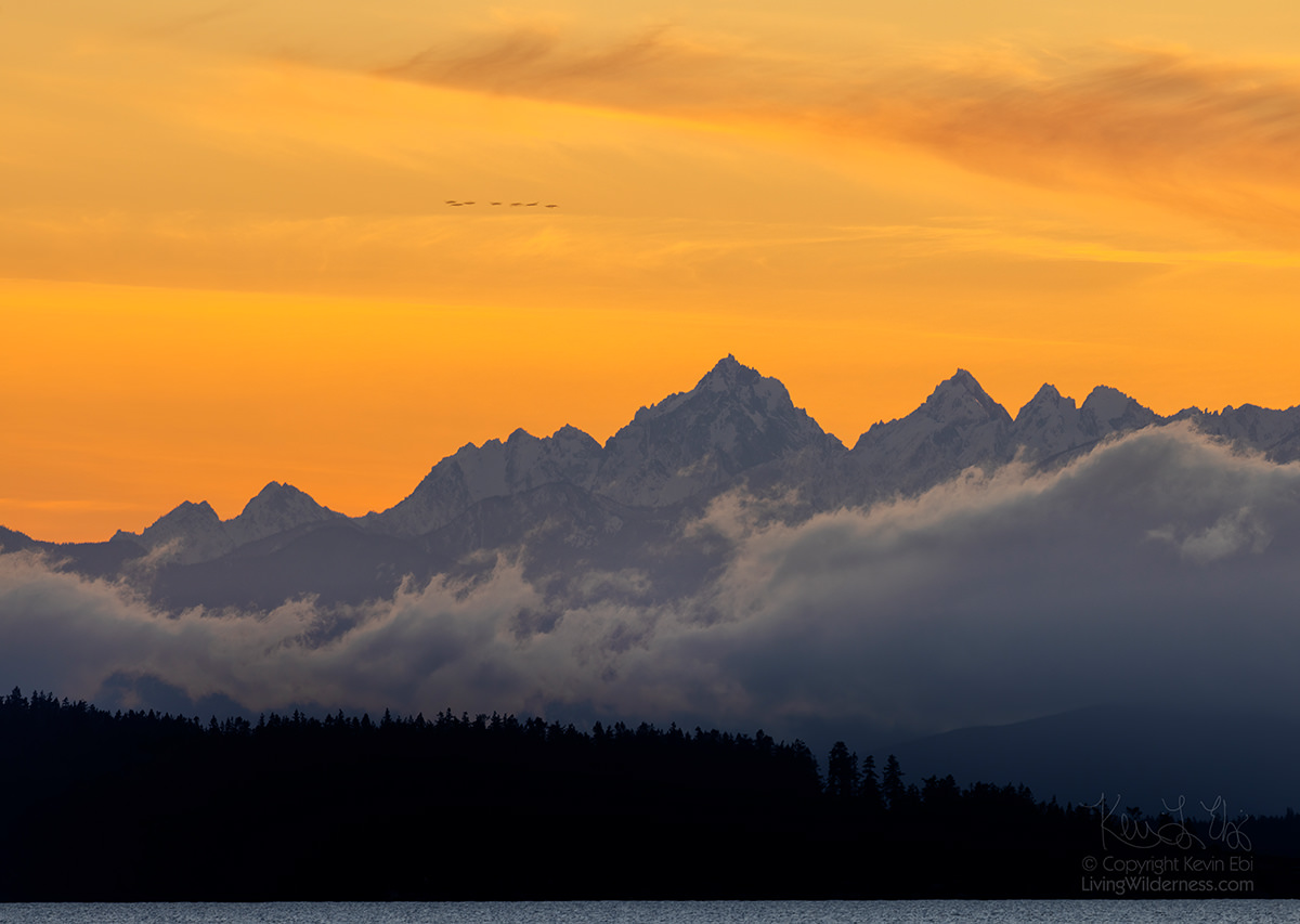 Olympic Mountains, Low Clouds, Golden Sunset