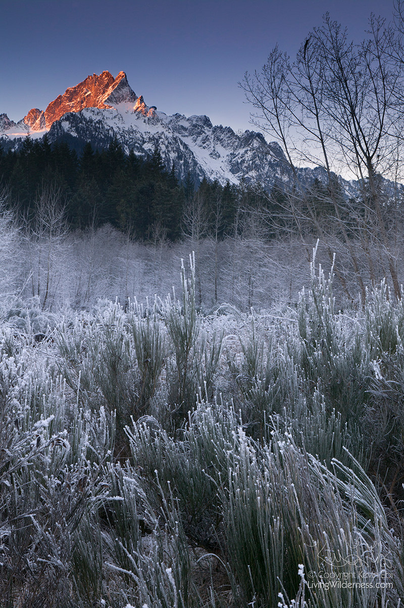 Whitehorse Mountain, Morning Frost, Washington