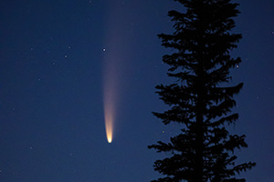Comet NEOWISE and Evergreen, Mount Rainier National Park, Washington
