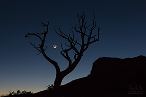 Crescent Moon, Guadalupe Mountains National Park, Texas
