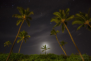 Palm Trees and Stars, Makena Beach, Maui, Hawaii